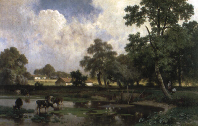 Paysage d ete avec vaches dans la mare